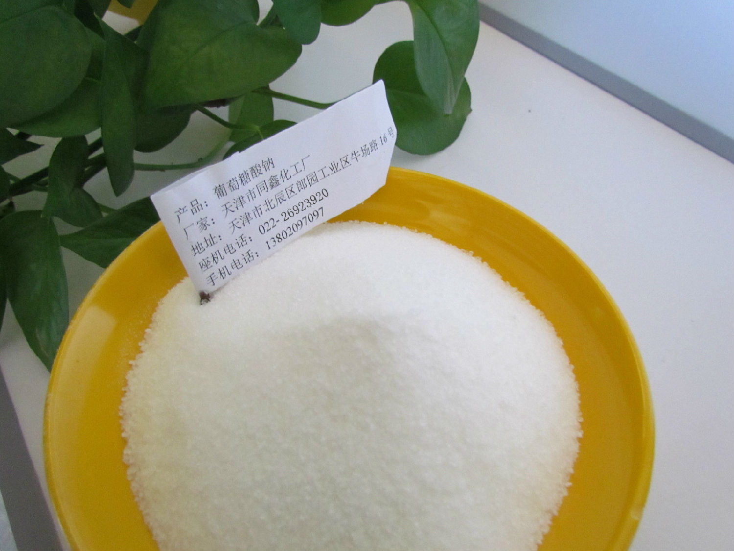 葡萄糖酸鈉 (13)_副本.jpg 葡萄糖酸鈉 (1)_副本.jpg