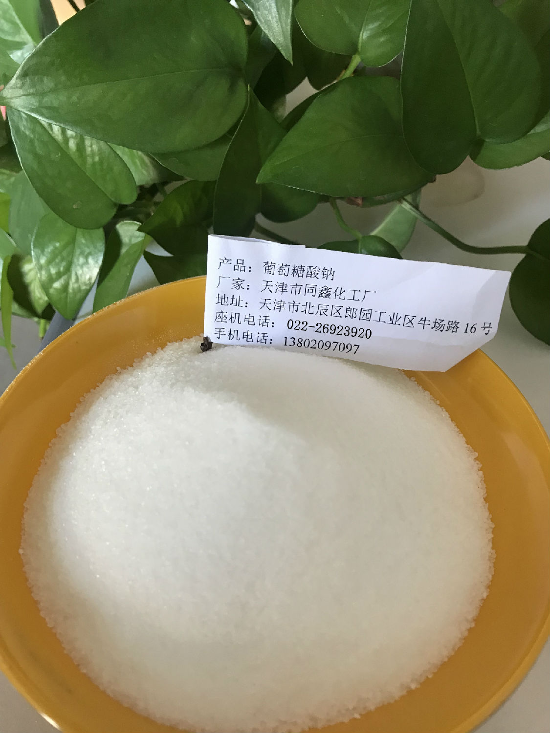 葡萄糖酸鈉 (2)_副本.jpg 葡萄糖酸鈉 (20)_副本.jpg